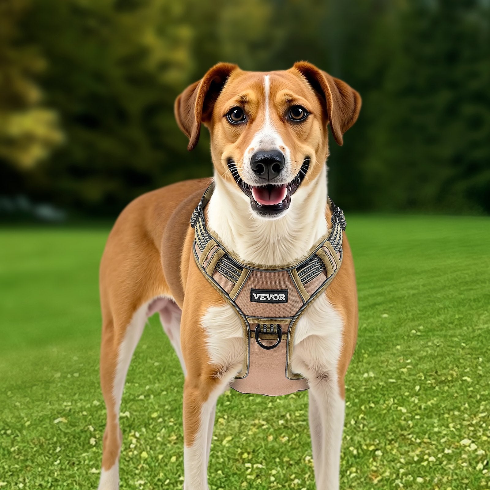 Strong, Comfy No-Pull Harness for Big Dogs