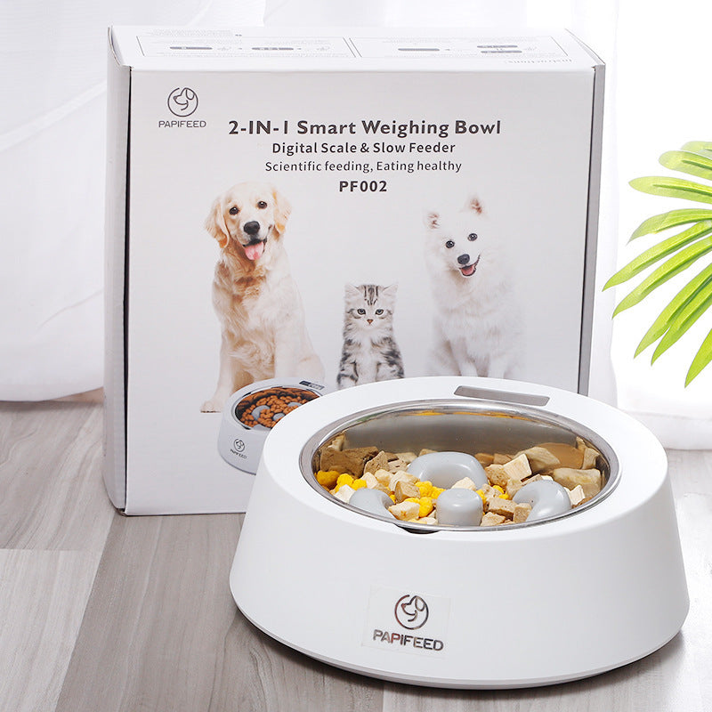 Slow and Smart Feeding for Dogs and Cats