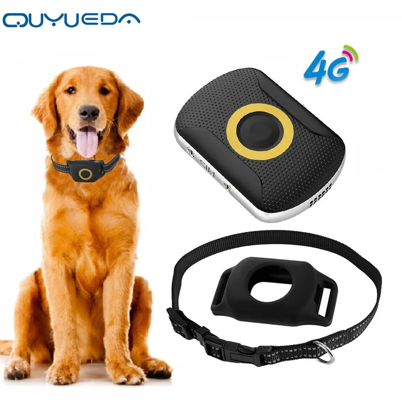 Reliable GPS Tracker – Safety for Pets