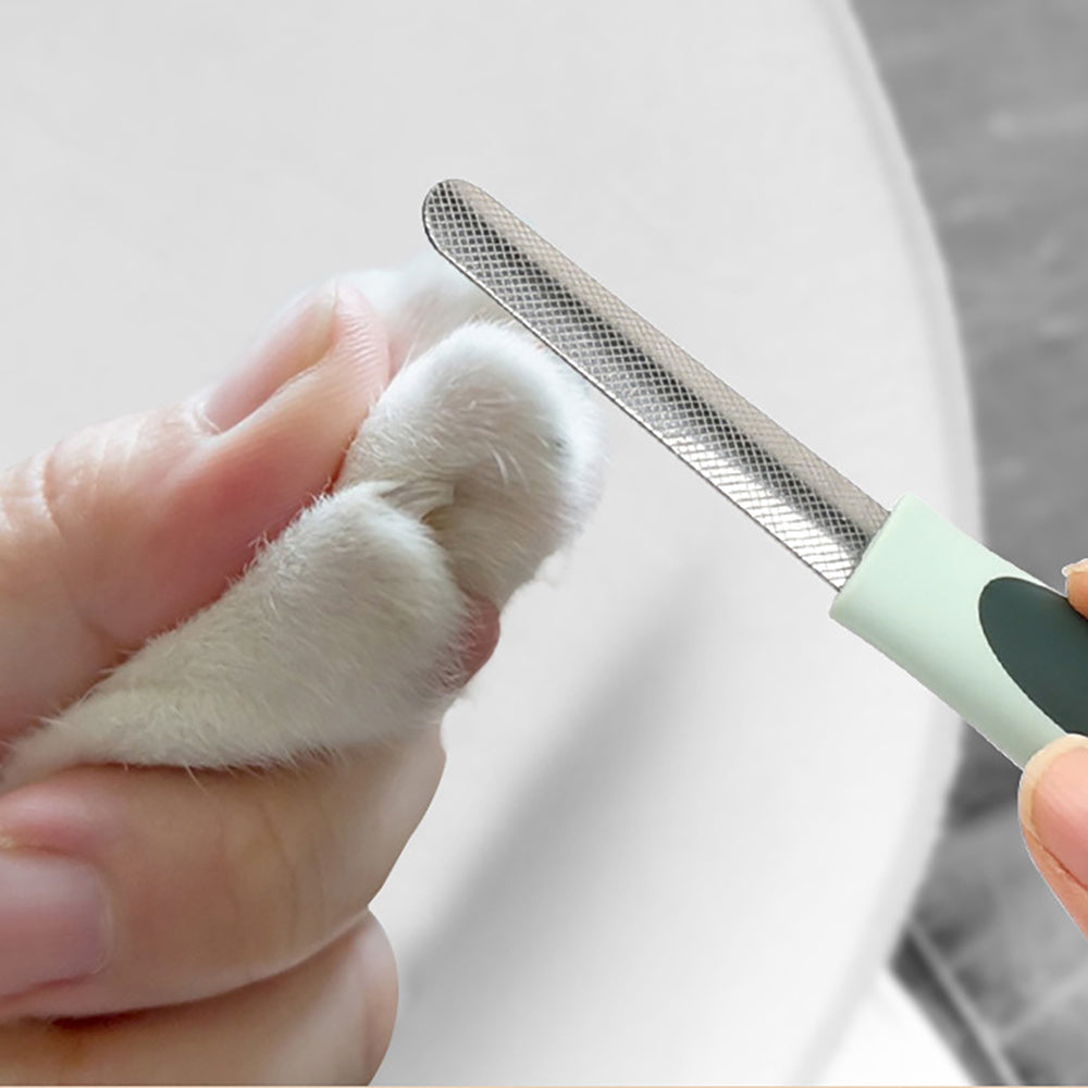 Professional Dog Clippers – Quiet Comfort, Smooth Grooming