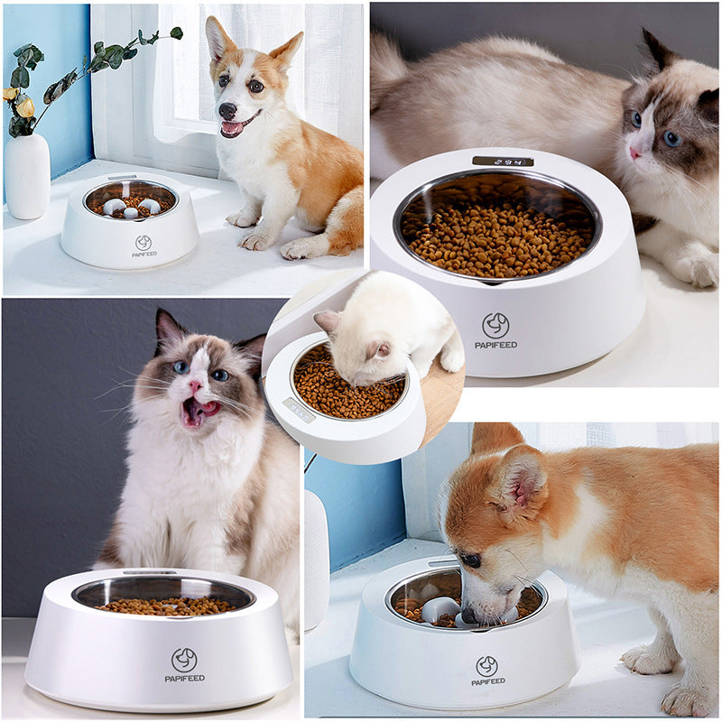 Slow and Smart Feeding for Dogs and Cats