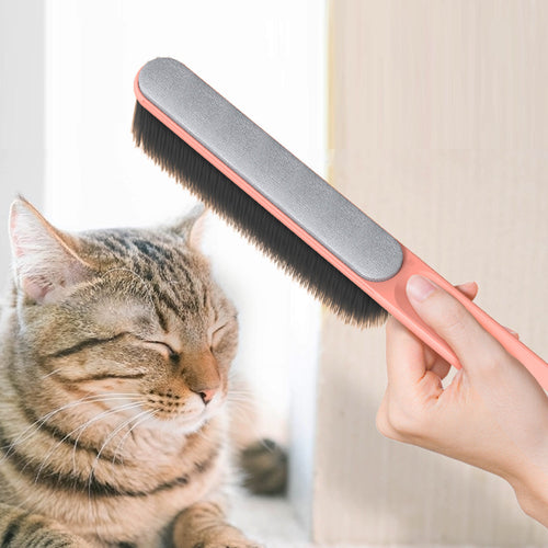 Fur-Free Living: Stylish Pet Hair Remover